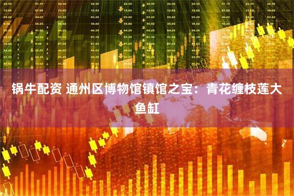 锅牛配资 通州区博物馆镇馆之宝：青花缠枝莲大鱼缸