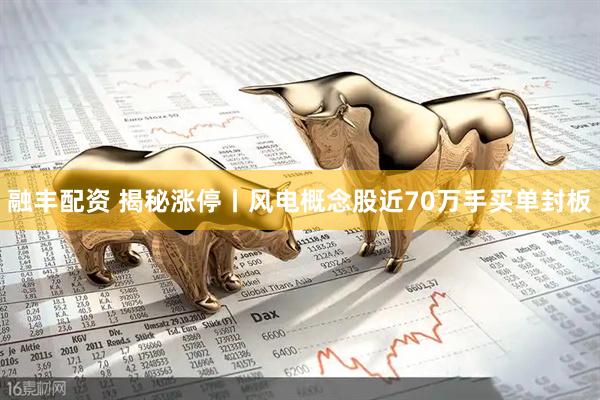 融丰配资 揭秘涨停丨风电概念股近70万手买单封板